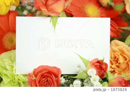 花とカード 1873829
