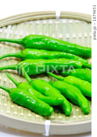 ししとう 1874651