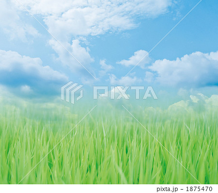 草むら 草 背景のイラスト素材 1875470 Pixta