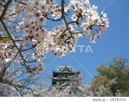 桜越しの洲本城天守 桜越しの洲本城天守 1876410