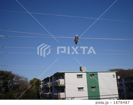 高い電線で作業する人 1876487