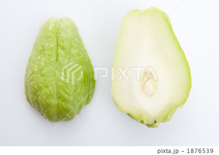 ハヤトウリ(隼人瓜) ハヤトウリ(隼人瓜) 1876539