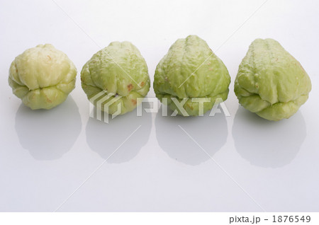 ハヤトウリ(隼人瓜) ハヤトウリ(隼人瓜) 1876549