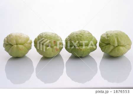 ハヤトウリ(隼人瓜) ハヤトウリ(隼人瓜) 1876553