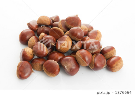 たくさんの栗 1876664