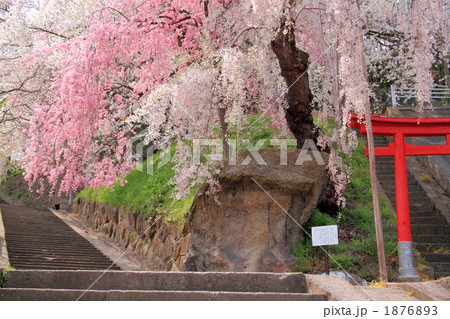 烏帽子山公園 1876893