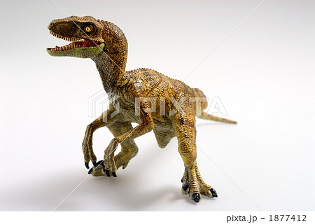 ティラノサウルス 1877412
