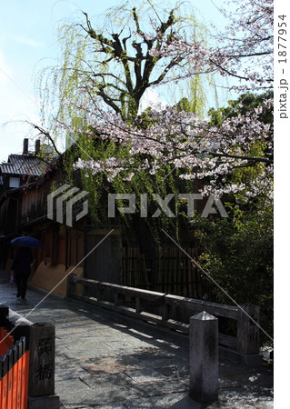 京都・祇園白川の春 1877954