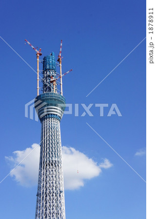 スカイツリー成長中 1878911