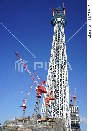 スカイツリー成長中 1878916