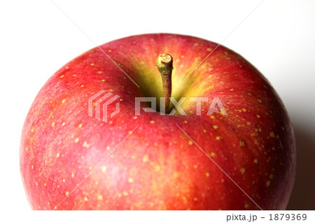 秋の味覚リンゴ 1879369