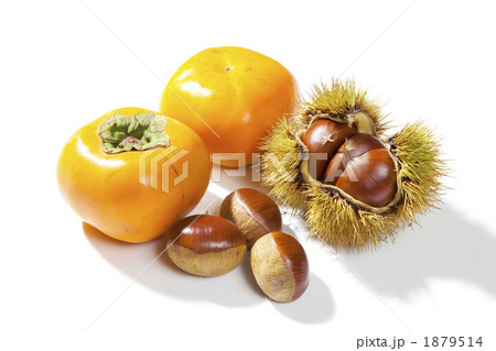 秋の味覚クリと柿 1879514