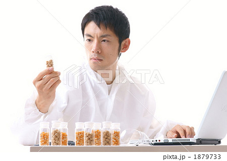 研究開発イメージ（種子・トウモロコシ＆大豆） 1879733