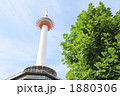 京都タワーと新緑 1880306