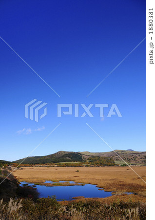 秋の八島湿原 1880381