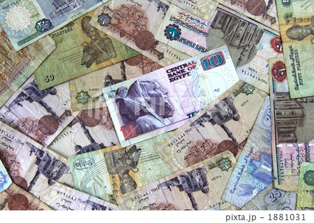 エジプトポンド　お札　　 1881031