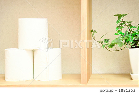 棚に置かれたトイレットペーパーのロールと観葉植物 棚に置かれたトイレットペーパーのロールと観葉植物 1881253