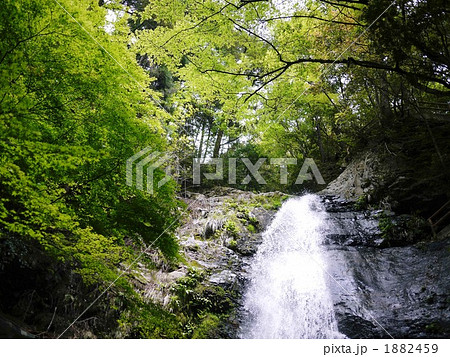 蜻蛉の滝 1882459