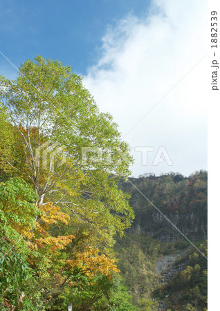 白山登山 1882539