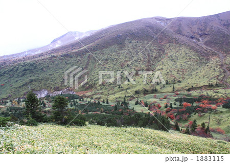 信州の紅葉 1883115