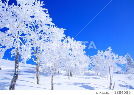 森吉山の霧氷 森吉山の霧氷 1884089