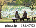 ベンチの女性（後ろ姿） 1884752