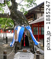 生島足島神社 1885247