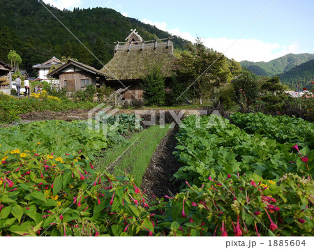 かやぶきの農村 1885604