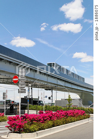 舎人ライナーとツツジ 舎人ライナーとツツジ 1886075