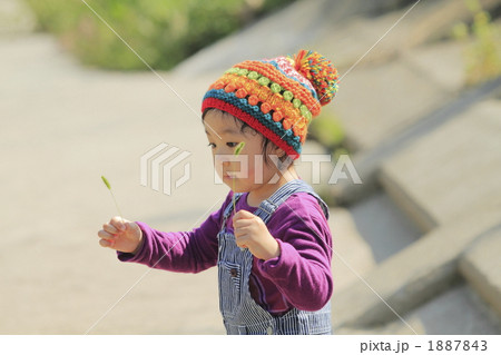 堤防を散歩する女の子 堤防を散歩する女の子 1887843