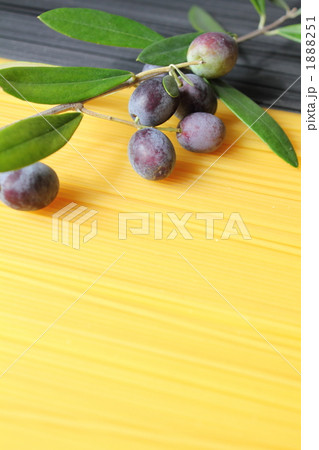 ブルーム付きオリーブとスパゲッティーニ 1888251