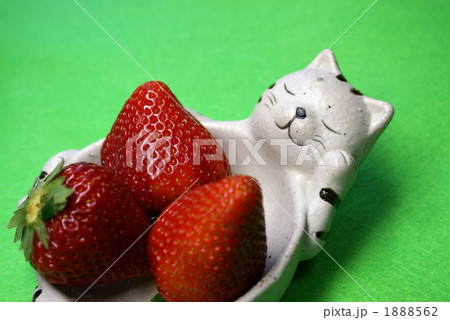 イチゴと猫の皿 イチゴと猫の皿 1888562