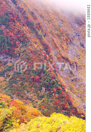 紅葉の谷川岳 紅葉の谷川岳 1888681