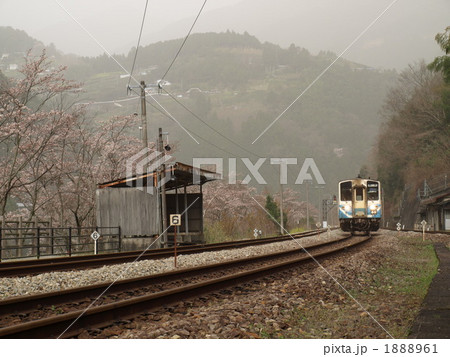 桜の線路 1888961