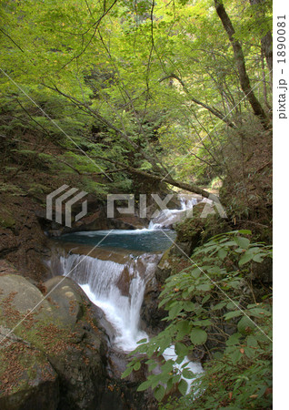 西沢渓谷 1890081