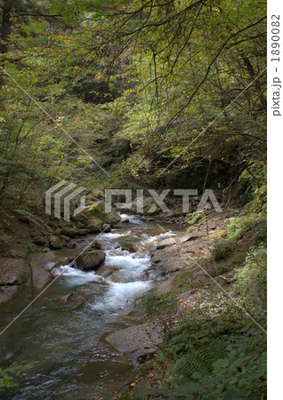 西沢渓谷 1890082