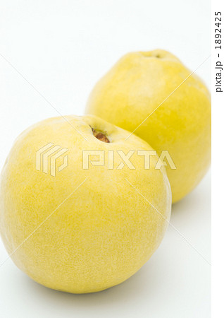 花梨のアップ 1892425