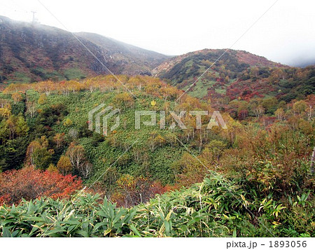 那須高原 朝靄の茶臼岳 紅葉 那須高原 朝靄の茶臼岳 紅葉 1893056