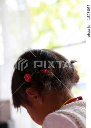 2 years old 2 years old 1893065