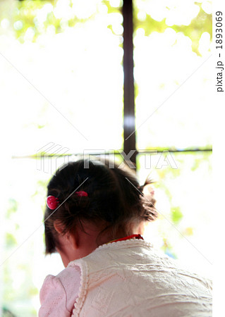 2 years old 2 years old 1893069