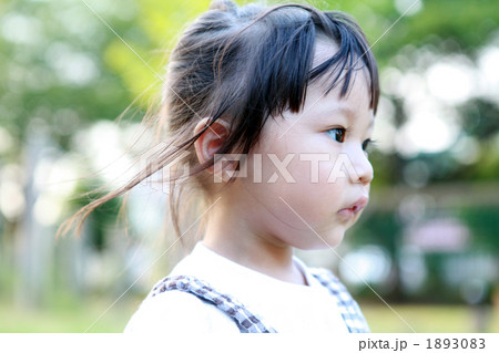 2 years old 2 years old 1893083