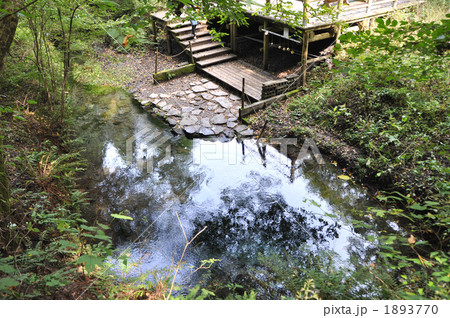 男池 男池 1893770