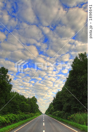 鱗雲と直線道路 1896641