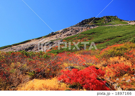 紅葉の乗鞍岳 紅葉の乗鞍岳 1897166