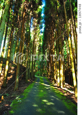 山道 1897448