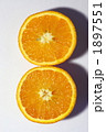 1897551