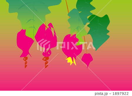 1月18日の花　うきつりぼく　花言葉　憶測 1897922