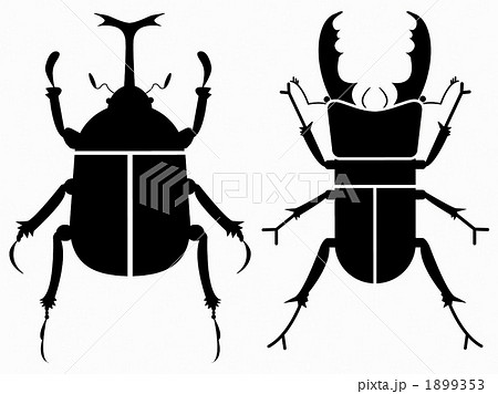 Kabuto Quaggata Stock Illustration