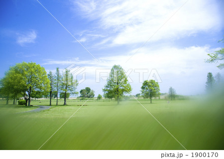 芝生に木のある風景に紗がかかる。 1900170