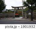 神泉苑 1901932